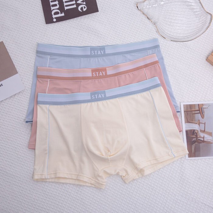 Đồ lót nam, quần sịp nam