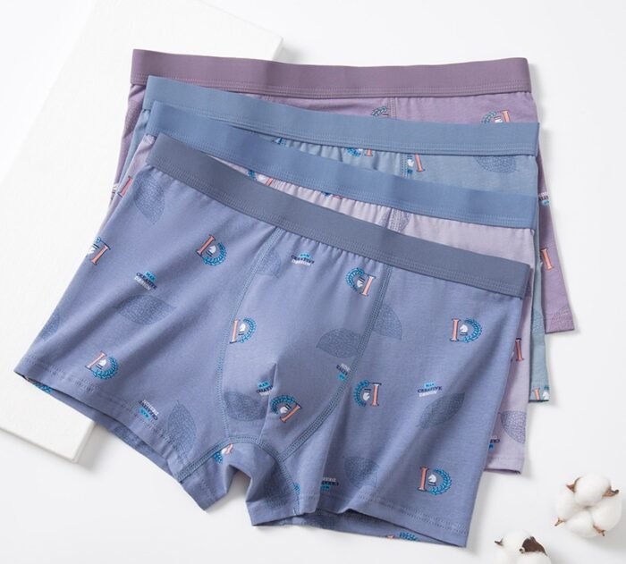 Đồ lót nam, quần sịp nam